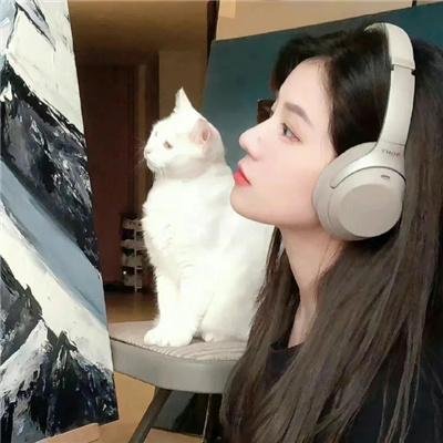 花之乱